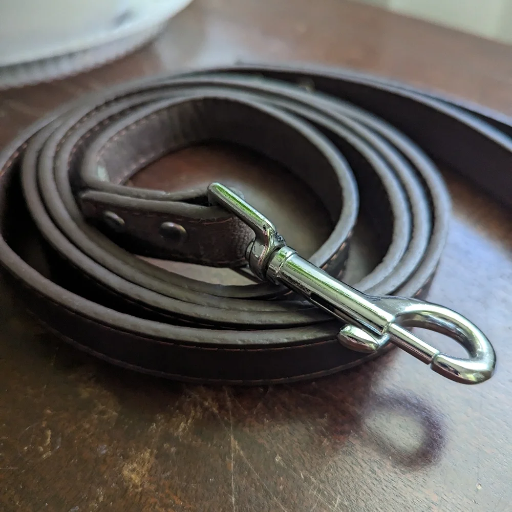 Brown leather dog leash